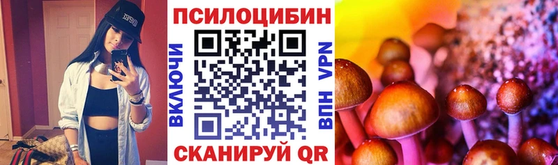 Галлюциногенные грибы Psilocybine cubensis  купить  сайты  Апрелевка 